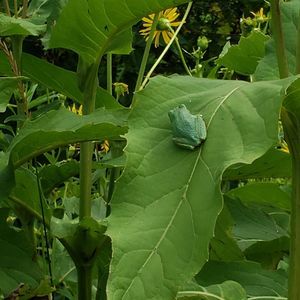 Meet your Posher, Jane